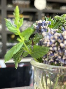 photo macro de menthe fraîche dans un verre, visuel culinaire naturel