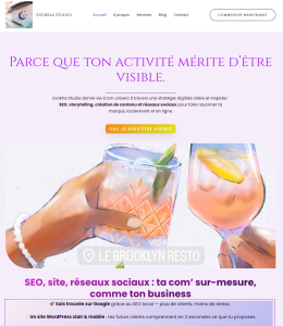 Evokha Studio — branding complet, site WordPress, SEO et contenus.